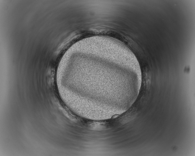 X0000115370664200911241241