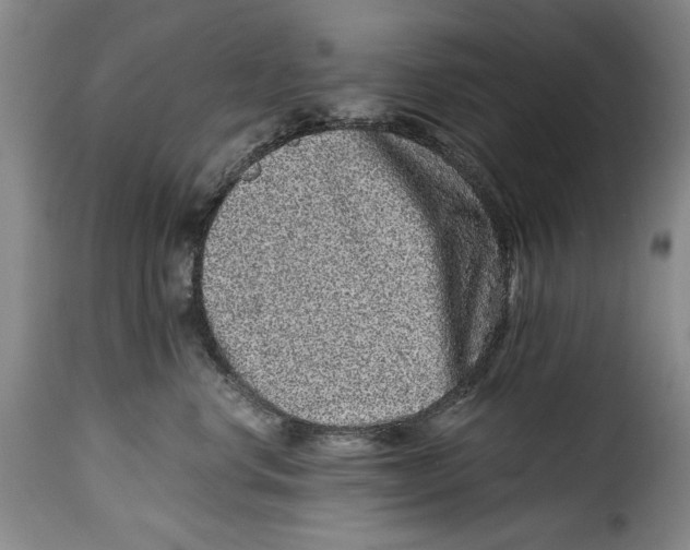 X0000115370668200911241241