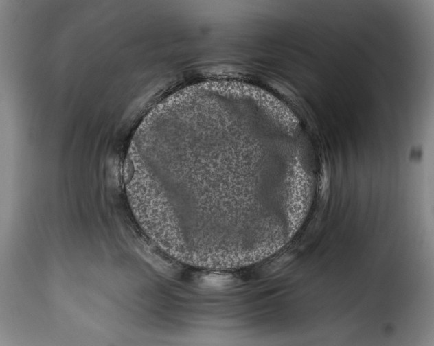 X0000115370669200911241242