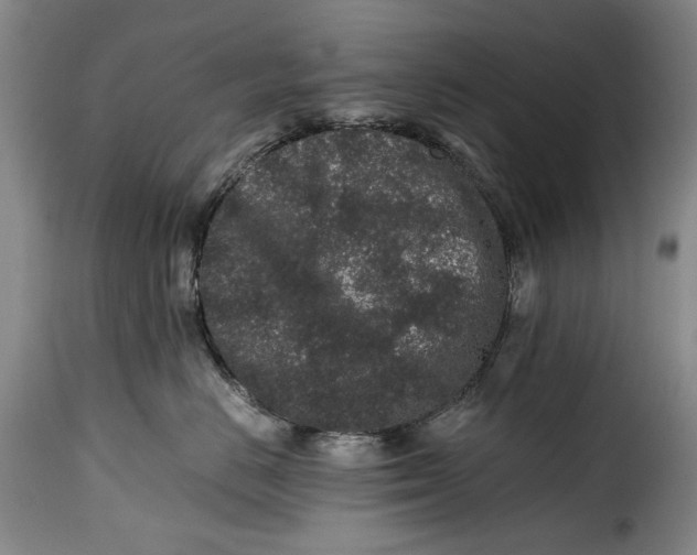 X0000115370670200911241242