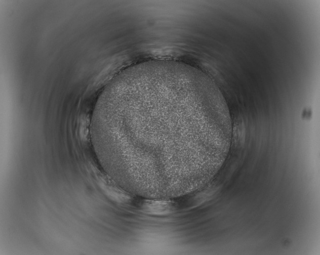 X0000115370671200911241242