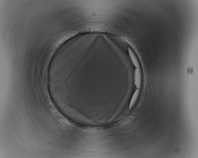 X0000115370673200911241241