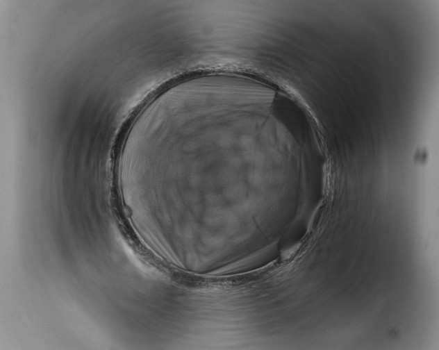 X0000115370674200911241241