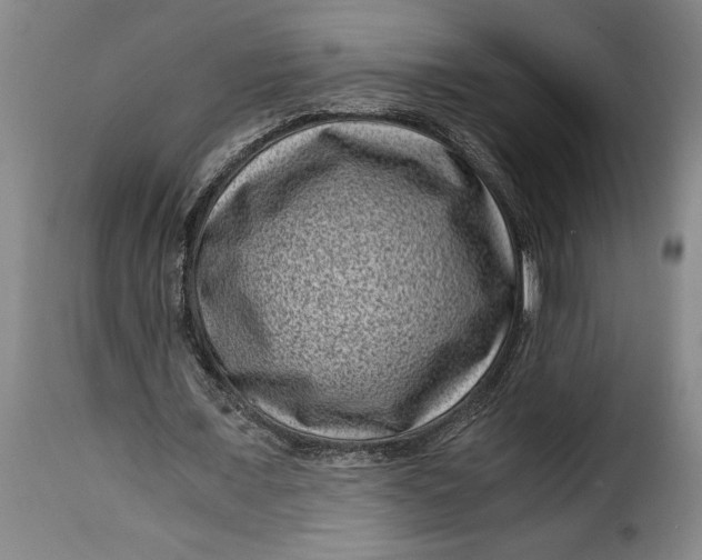 X0000115370675200911241241