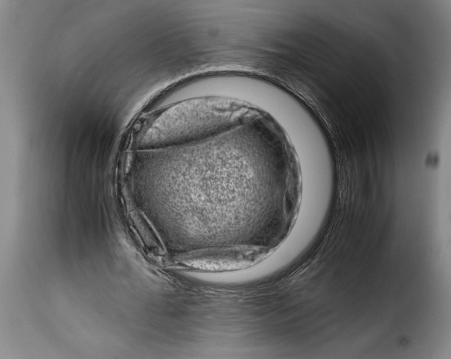 X0000115370676200911241241