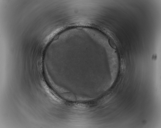 X0000115370677200911241241