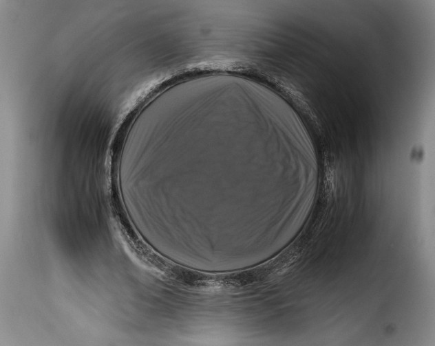 X0000115370678200911241241