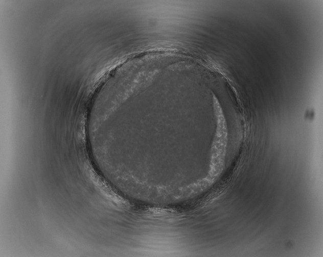 X0000115370681200911241241