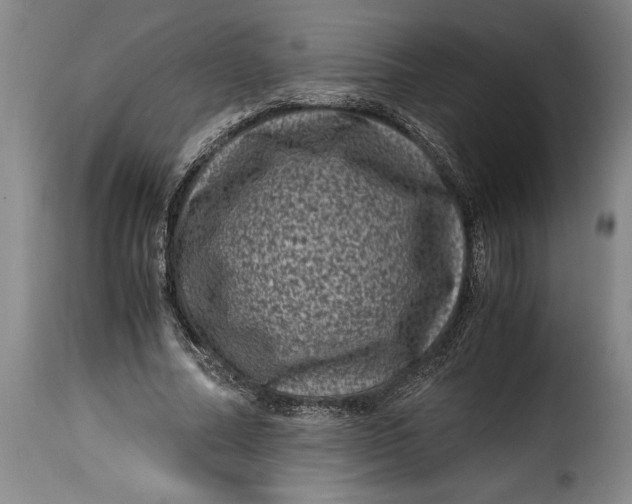 X0000115370682200911241241