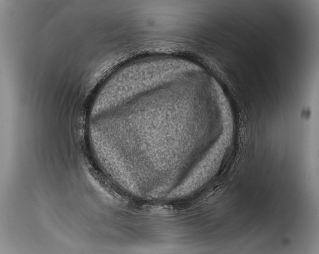 X0000115370683200911241241