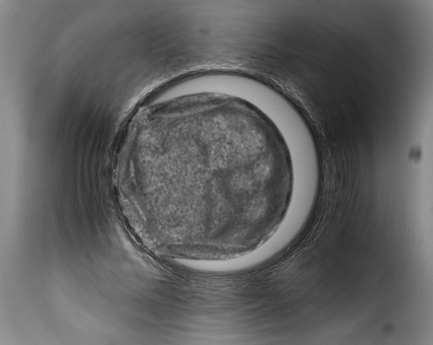 X0000115370684200911241241