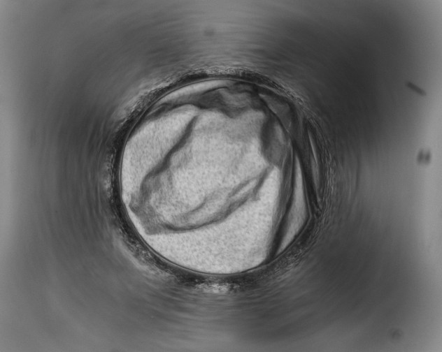 X0000115370687200911241241