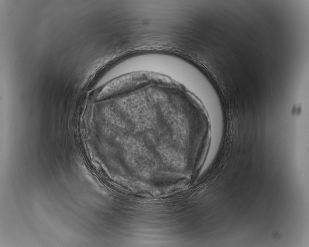 X0000115370688200911241241