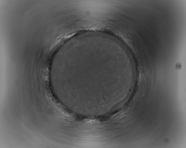 X0000115370689200911241241
