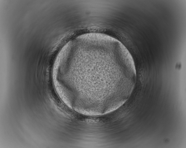 X0000115370690200911241241