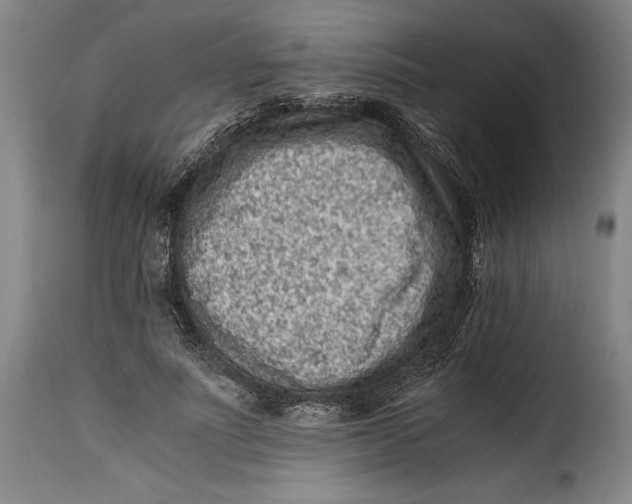 X0000115370691200911241241