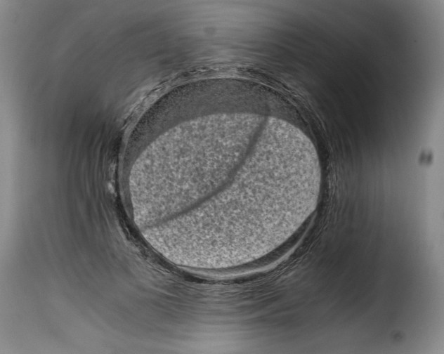 X0000115370693200911241241