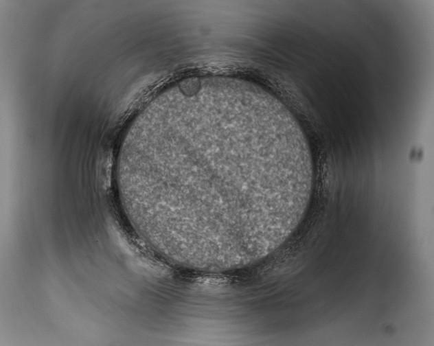 X0000115370694200911241241