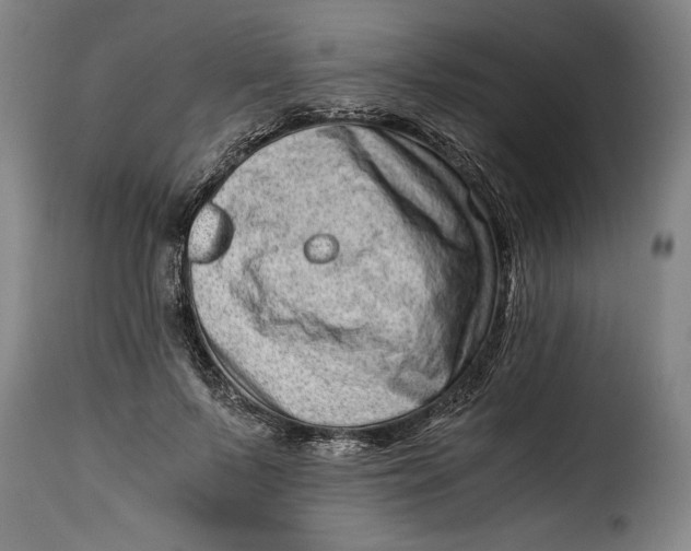 X0000115370695200911241241