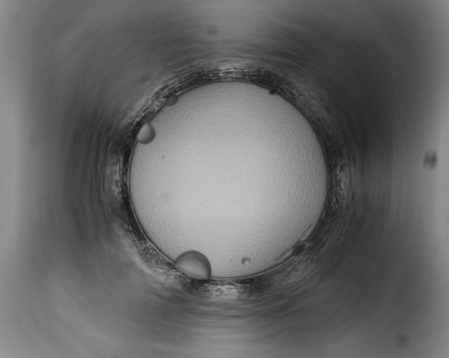 X0000115370698200911241241