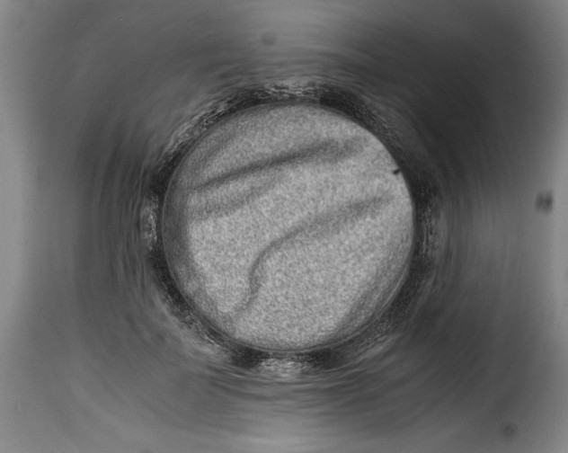 X0000115370699200911241241
