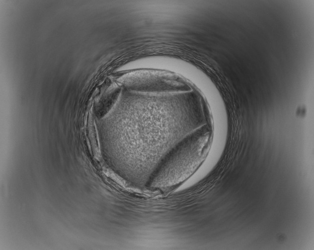 X0000115370701200911241241