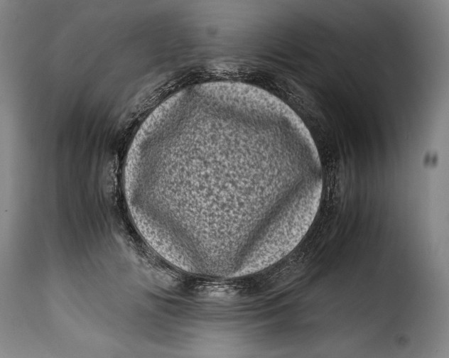X0000115370702200911241240
