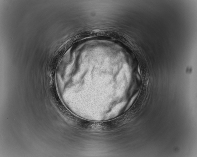 X0000115370703200911241240