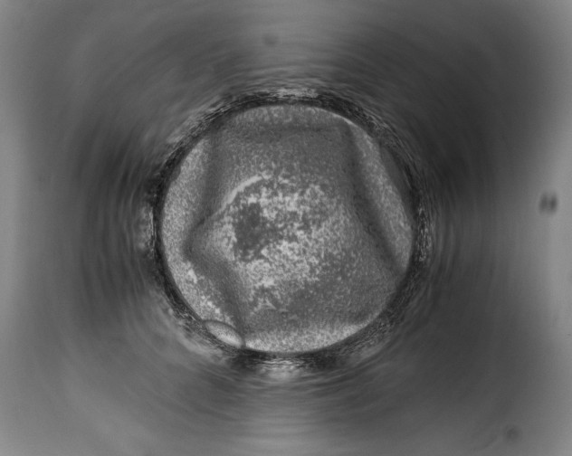 X0000115370704200911241240