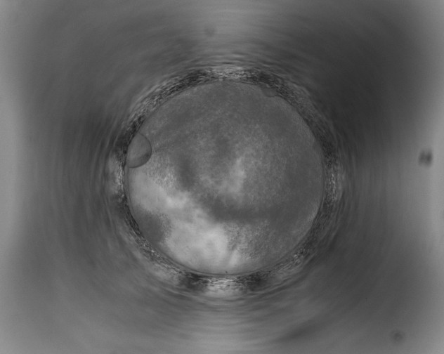 X0000115370705200911241240
