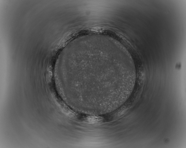 X0000115370707200911241240