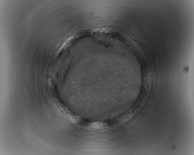 X0000115370708200911241240