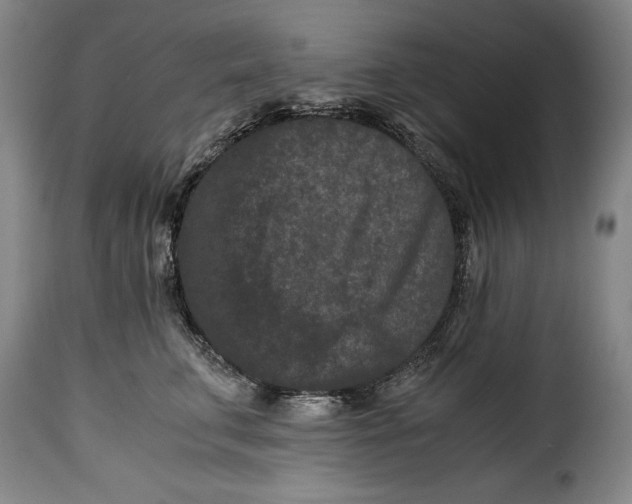 X0000115370711200911241240