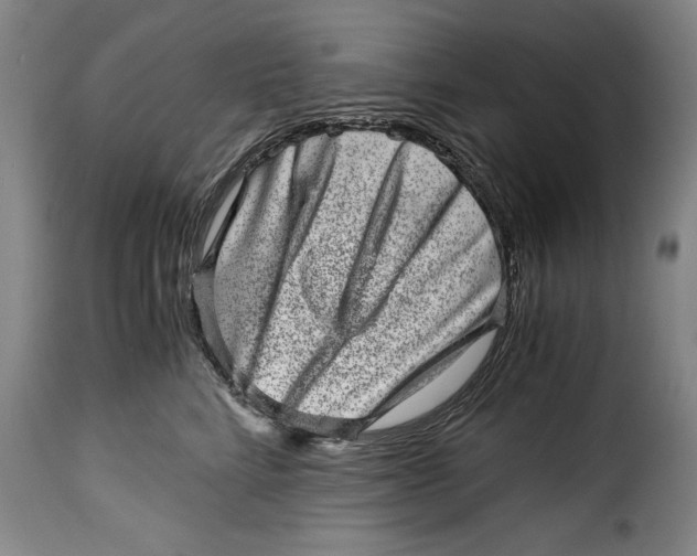 X0000115370712200911241240
