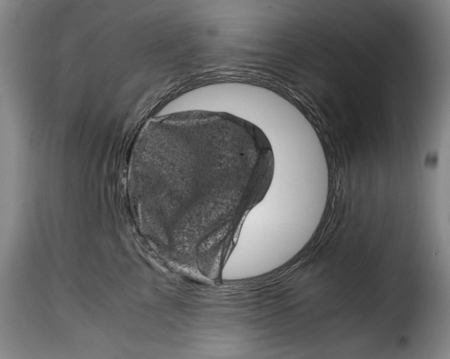 X0000115370713200911241240