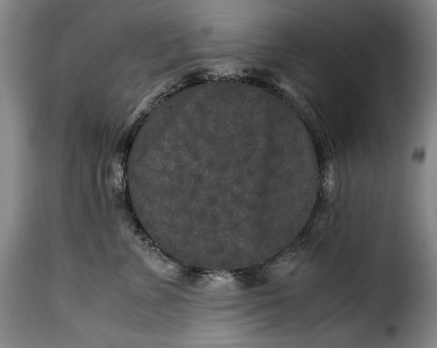 X0000115370715200911241240