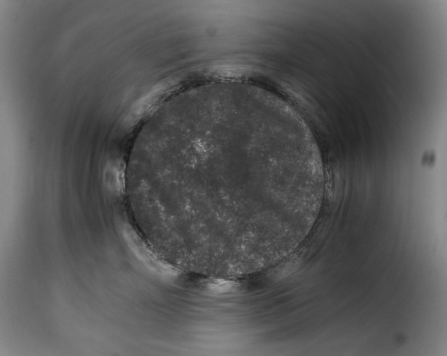 X0000115370718200911241240