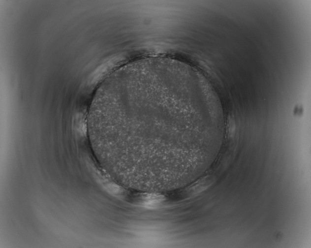 X0000115370719200911241240