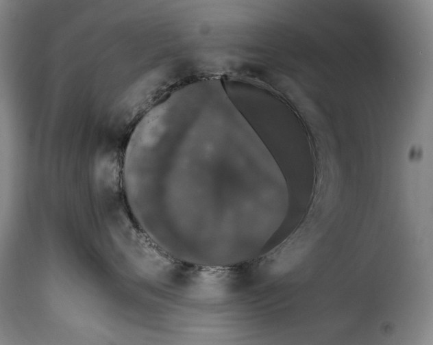 X0000115370720200911241240