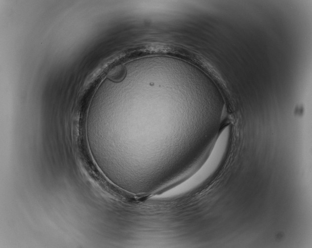 X0000115370722200911241239