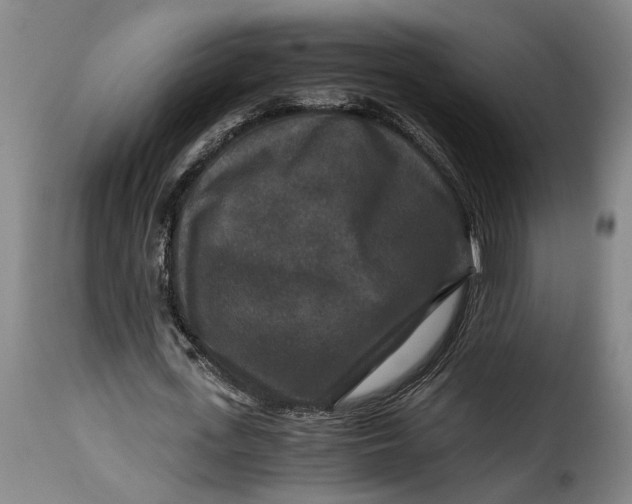 X0000115370723200911241239