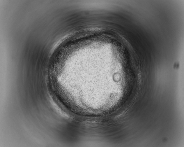 X0000115370725200911241239
