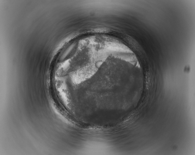 X0000115370726200911241239