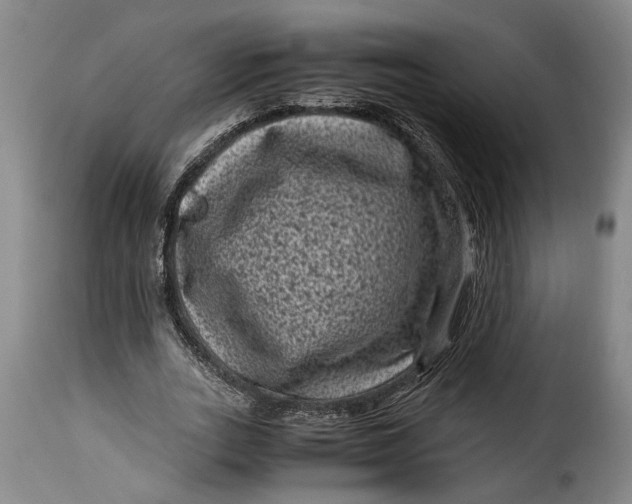 X0000115370727200911241239
