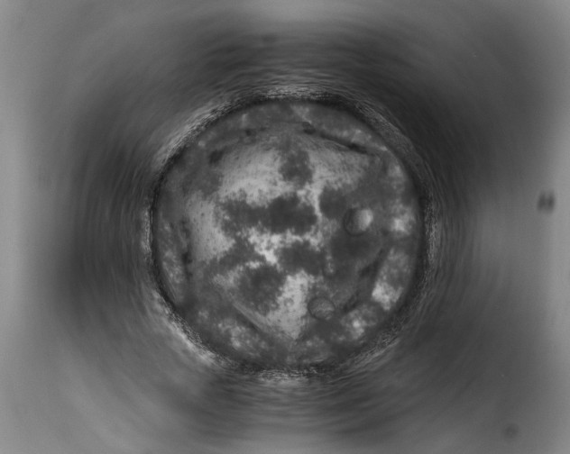 X0000115370729200911241239