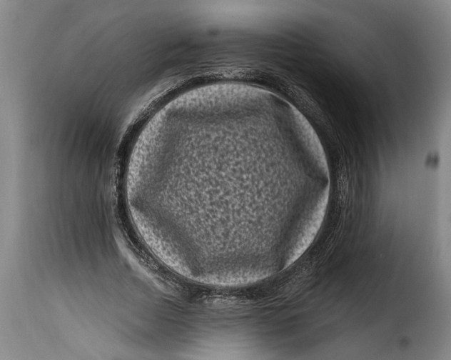 X0000115370730200911241239