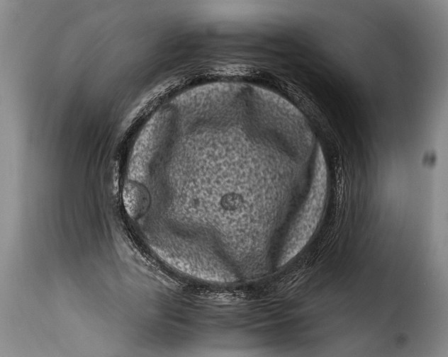 X0000115370731200911241239