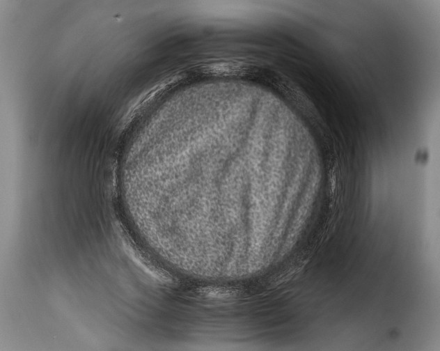 X0000115370733200911241240