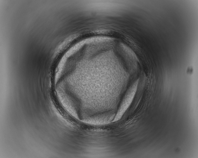 X0000115370734200911241240