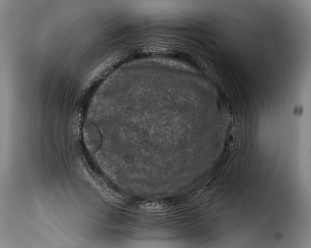 X0000115370735200911241240